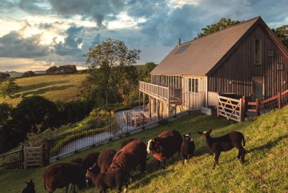 The exterior of Serenity Retreat, Devon