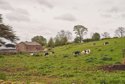 The view from Plum Cottage, Lake District