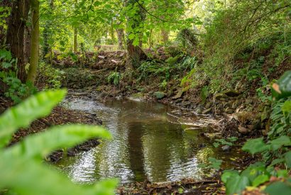 The stream near to Waterside Cottage, Yorkshire