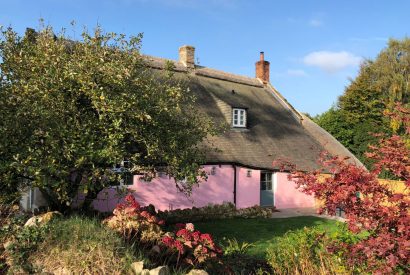 The garden at The Thatched Cottage, Somerset