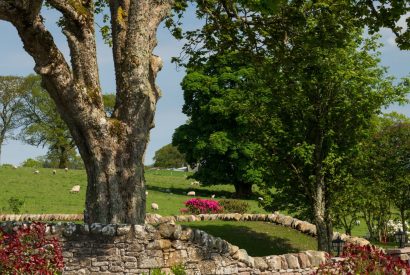 The garden at Heatherglen House, Perthshire