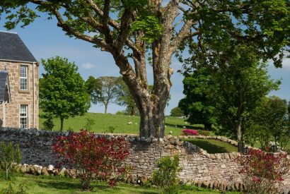 The garden at Heatherglen House, Perthshire