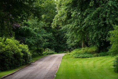The driveway at Quarter House, Scottish Borders