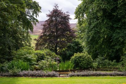 The gardens at Quarter House, Scottish Borders