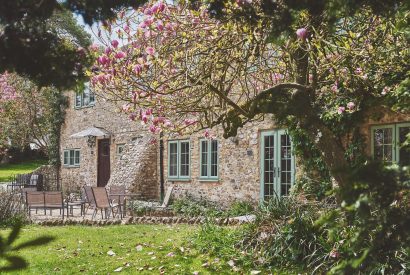 The exterior and garden of Blackdown Cottage, Devon
