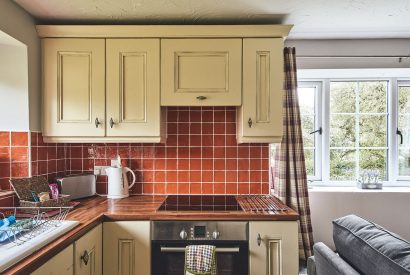 The kitchen at Harcombe Cottage, Devon
