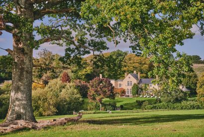 The gardens at Roupel Hall, Devon