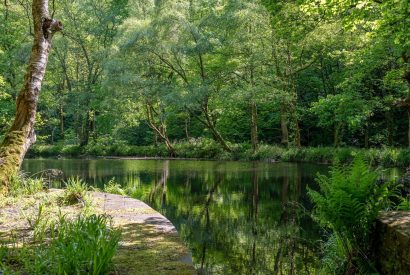 The river by Meadow Barn, Yorkshire