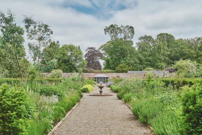 The gardens at Salutation, Cumbria