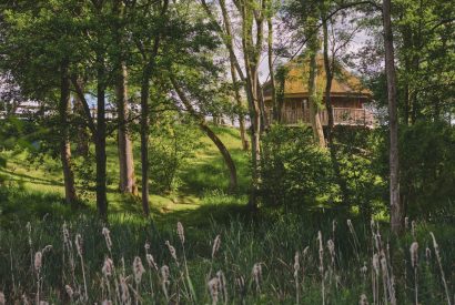 The outdoor space at Nature's Nest, Malvern Hills