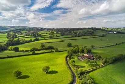 The gardens at Shepherd's Estate, Somerset