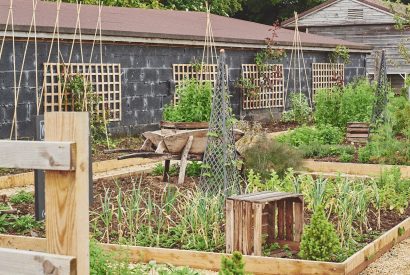 The garden at The Barnstay, Hampshire