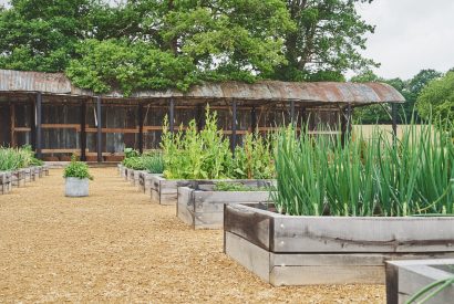 The garden at The Barnstay, Hampshire