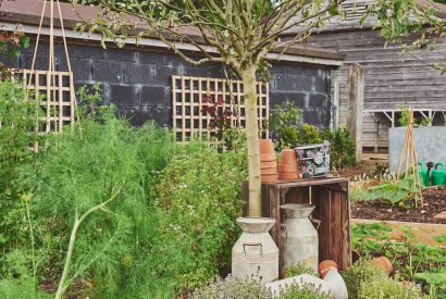The garden at The Barnstay, Hampshire