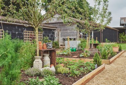 The gardens at Farmstay Retreat, Hampshire