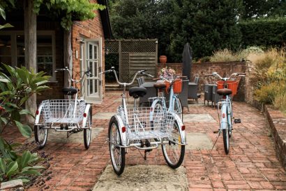 Bikes for hire at Lovage Pyggy, Hampshire