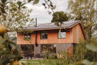 The grounds at Cedar Lodge, Herefordshire