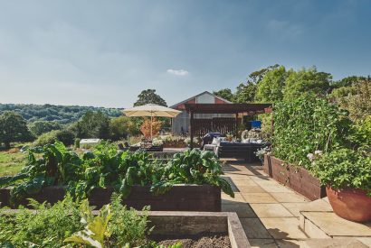 The garden at Horseshoe House, Peak District