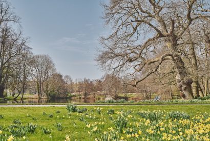 gardens1 - Lakeside Cottage - Cheshire cottages