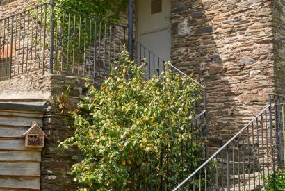 The exterior of Fern House, Devon