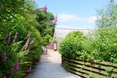 The garden path to Fern House, Devon
