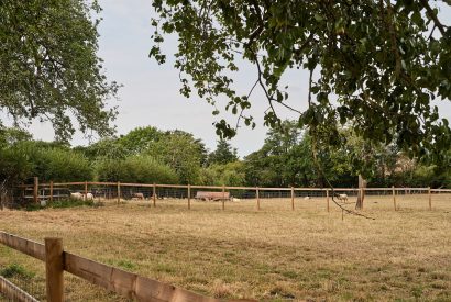 The farm views at The Hangout Hut, Worcestershire 