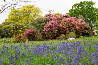 The garden at Cornish Castle, Cornwall