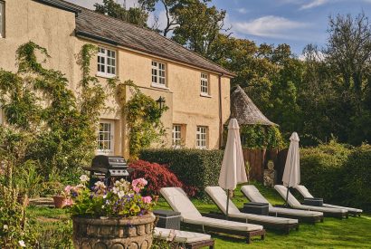 The sun loungers at Roupel Hall, Devon