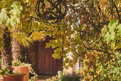 A dining table at Roupel Hall, Devon