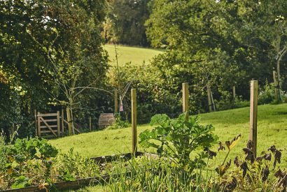 The grounds at Roupel Hall, Devon