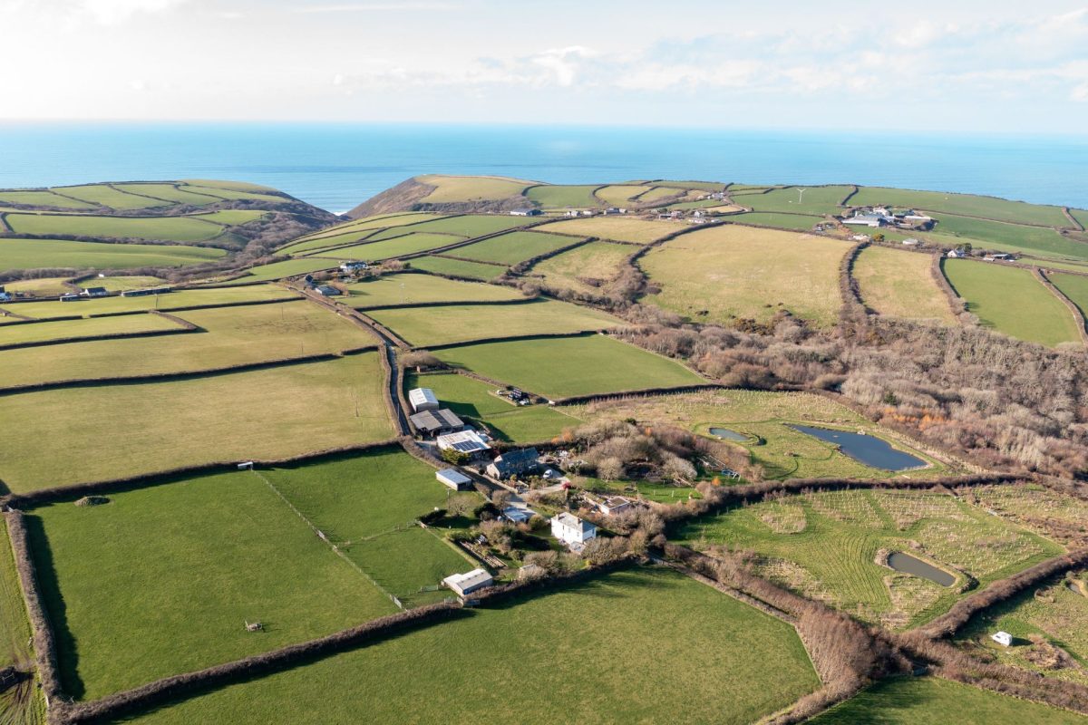 The surrounding countryside and sea at Millook View Farmhouse, Cornwall