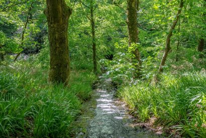 A stream by Meadow Barn, Yorkshire