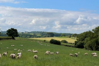 Rolling countryside views at The Blended Barn, Cotswolds