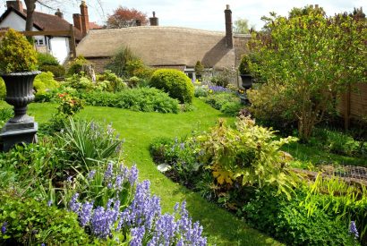 The garden overlooking Thatch Corner, Somerset