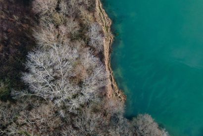The sea and woodland at Brickworks and Vines, Isle of Wight