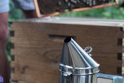 A beehive with a smoker at Brickworks and Vines, Isle of Wight