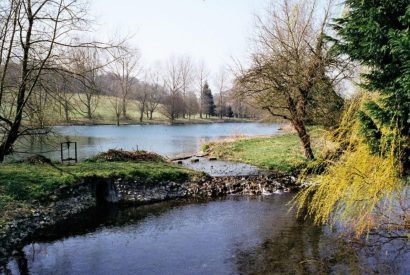 The river near to Brightwaters Stables, Hampshire