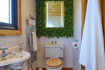 The bathroom at Abberley Shepherd's Hut, Worcestershire
