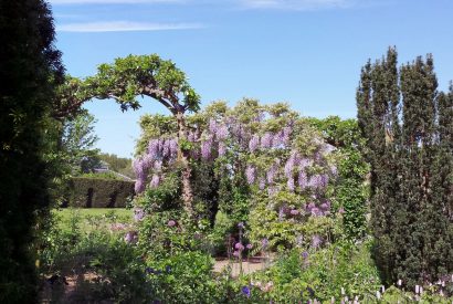 The gardens at Byron Cottage, Cotswolds