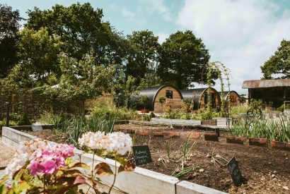 The grounds at Rosemary Pyggy, Hampshire
