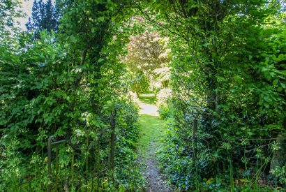 The garden at The Creamery, Somerset