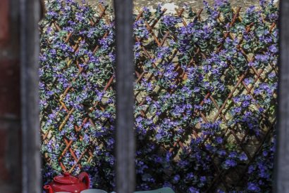 View to the outdoor space at Heartview Cottage, Cotswolds