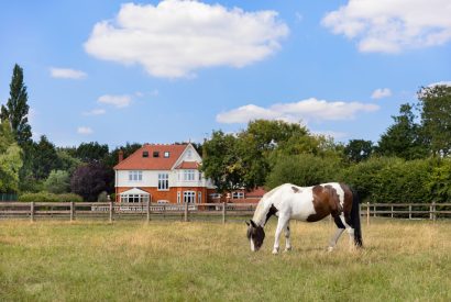 View to Merry Manor, Essex