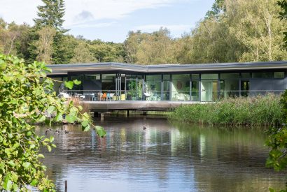 The lake at The Bridge House, Hampshire