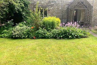 The garden at Preedy's Cottage, Cotswolds