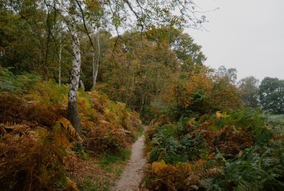Countryside walks near Fox Hallow, Cheshire