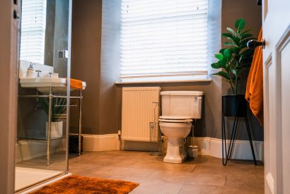 A shower room at Meadfoot Manor, Torquay, Devon