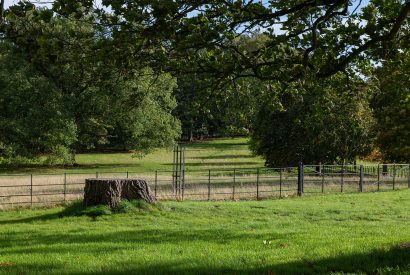 The grounds at Wyvern House, Shropshire