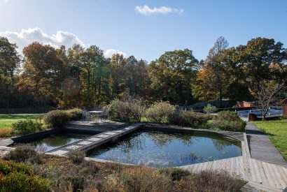 The pond at Southwoods, Hampshire