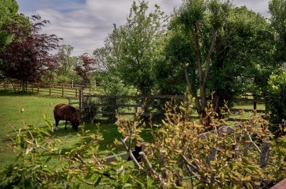 The garden at The Luxury Barn, Peak District